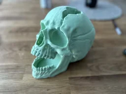 Cracked Skull - Dice Tower — Shared by Christian